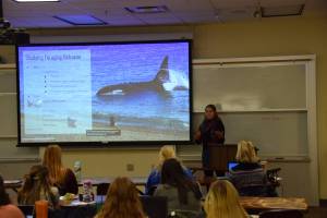 Jamie Hoy, a Montana State University student who is participating in the Kachemak Bay Campus of Kenai Peninsula College, University of Alaska Anchorages, Semester by the Bay program, gives a presentation on orca whales at the Marine Mammal Biology Symposium on Friday, Nov. 4 in Homer. (Photo by Charlie Menke / Homer News)