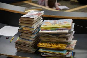 Some of the Homer Public Library books a citizens group has asked be removed from the children's section lie on a table at the meeting of the Library Advisory Board on Nov. 15, 2022, in the Cowles Council Chambers at Homer City Hall in Homer, Alaska. (Photo by Michael Armstrong/Homer News)