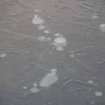 Gas bubbles have frozen in the ice of Beluga Lake on Monday, Nov. 14, 2022, in Homer, Alaska. (Photo by Michael Armstrong/Homer News)