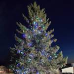 The Christmas tree on Thursday, Dec. 1, 2022 at Homer Chamber of Commerce in Homer. (Photo by Charlie Menke / Homer News)