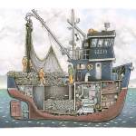 Tom Crestodinas cutaway drawing of the Alsek. (Photo provided)