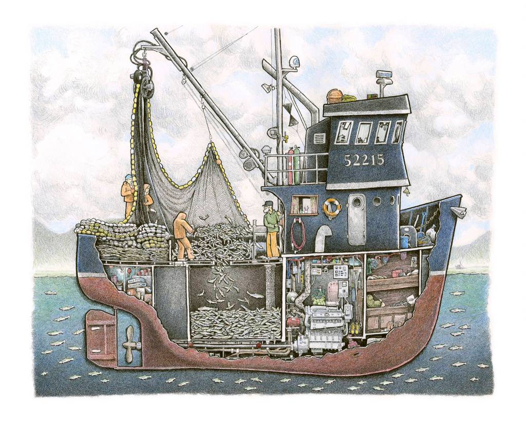 Tom Crestodinas cutaway drawing of the Alsek. (Photo provided)