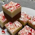 This Double Chocolate Peppermint Fudge combines chocolate chips, sweetened condensed milk and a few mix-ins for a simple, quick holiday treat. (Photo by Tressa Dale/Peninsula Clarion)