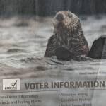The Kenai Peninsula Borough Regular Municipal Election informational pamphlet for the Oct. 4, 2022, election is pictured. The Kenai Peninsula Borough Assembly is considering an ordinance that would end distribution of hard copies of the pamphlet to borough box holders. (Peninsula Clarion file)