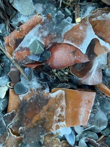 Winter beach on New Years Day (Christina Whiting)