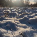 Snow mounds on a local trail (Photo by Christina Whiting/Homer News)
