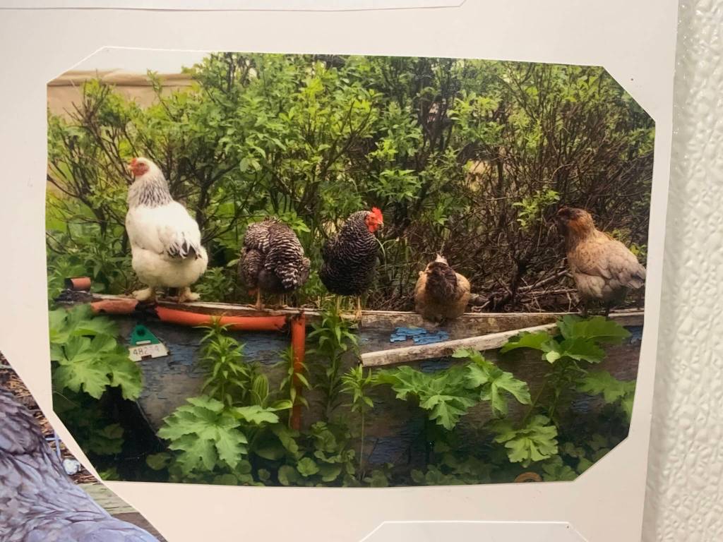 Birds on a Boat by Julianne Tomich is on display through January at Grace Ridge Brewing. (Photo by Christina Whiting/Homer News)