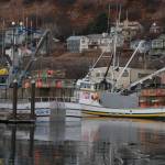 Homer seine vessels Allie B and Hadassah on Friday Jan. 20 in the Kodiak Harbor. Photo from Ivan Stonorov.