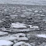 High tides bring mud and ice to the shoreline along the Homer Spit Road, Jan. 22, 2023, in Homer, Alaska. (Photo by Christina Whiting)
