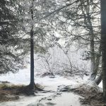 Footsteps in the snow along the Calvin & Coyle Trail out East End Road. (Photo by Christina Whiting/Homer News)