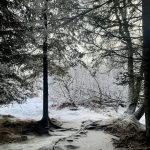 Footsteps in the snow along the Calvin & Coyle Trail out East End Road. (Photo by Christina Whiting/Homer News)