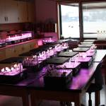 Students individual growth pods are set up in the hydroponics room on Tuesday, Feb. 14, 2023 at Nikolaevsk School in Nikolaevsk, Alaska. Photo by Delcenia Cosman