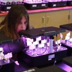 Fifth grader Natalie Prevost checks her sprouts on Tuesday, Feb. 14, 2023 in the hydroponics room at Nikolaevsk School in Nikolaevsk, Alaska. Photo by
