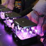 Students from kindergarten to ninth grade check the progress of their sprouts on Tuesday, Feb. 14, 2023 in the hydroponics room at Nikolaevsk School in Nikolaevsk, Alaska. Photo by Delcenia Cosman