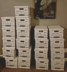 Boxes of period products are stacked, each destined for a specific school. (Photo courtesy Chera Wackler)