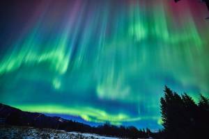 East End Road, Homer, Alaska. Feb. 26, 2023.  Photo provided by Christopher Kincaid.