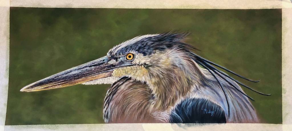 Photo 2023, provided by Grice
Blue Heron, a painting by Midge Turea M. Grice on display at Fireweed Gallery through March.