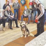 Photo courtesy of Debbie Carpenter
Allen Rasmussen shows his husky, Ayla, to the audience of the Snow Rondi dog show on Sunday at the Anchor Point Senior Center. Ayla won an award for being the dog that looks most like their owner.