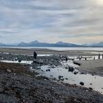 Sunshine and moderate low tides invite community members to the beach on Sunday. (Photo by Christina Whiting/Homer News)