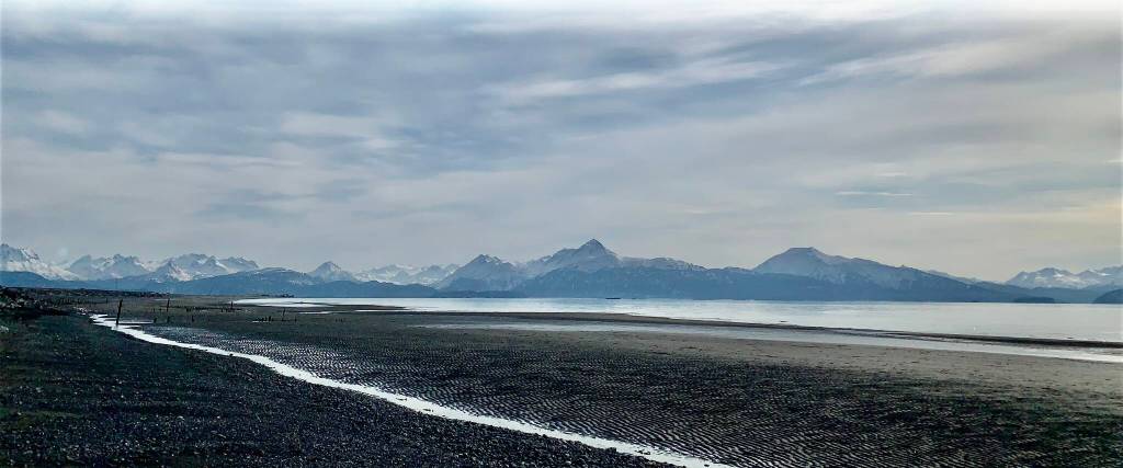 A moderate low tide at Mariner Park Beach on Sunday. (Photo by Christina Whiting/Homer News)