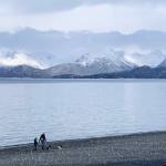 A family and their dogs enjoy a sunny day on the Homer Spit on Wednesday<ins>, March 15, 2023 in Homer, Alaska</ins>. Photo by Christina Whiting