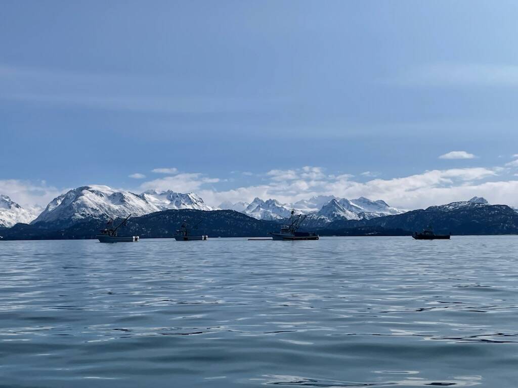 Homer fishing vessels participate in annual Alyeska oil spill response training on Kachemak Bay on Friday<ins>, April 7, 2023</ins>. (Photo by Emilie Springer/Homer News)
