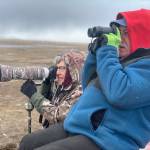 Birders Heather and David Sterling from Anchorage watch a flock of sandhill cranes descend into Beluga Slough on Sunday<ins>, April 23, 2023 in Homer, Alaska</ins>. Photo by Christina Whiting