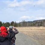 Birders track two sandhill cranes coming in for a landing on the Beluga Slough on Friday, May 5, 2023, in Homer, Alaska. (Photo by Delcenia Cosman/Homer News)