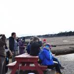 Birders participate in the Birdability on Beluga Slough event on Friday, May 5, 2023, in Homer, Alaska. (Photo by Delcenia Cosman/Homer News)