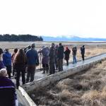 Birders participate in the Birdability on Beluga Slough event on Friday, May 5, 2023, in Homer, Alaska. (Photo by Delcenia Cosman/Homer News)