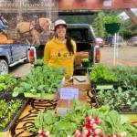 Christina Castellanos of Snowshoe Hollow Farm vends at the Homer Farmers Market on opening day, Saturday, May 27, 2023 in Homer, Alaska. Photo by Christina Whiting