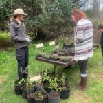 Pratt Museum Botanical Curator Yarrow Hinnant discusses plants with community members during the museums annual plant sale on Saturday, May 27, 2023 in Homer, Alaska. Photo by Christina Whiting