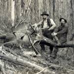 Photo #606.1.4 courtesy of the Resurrection Bay Historical Society
Skilled hunter John A. Baughman (L) and an unidentified man pose on the Kenai Peninsula with a large bull moose kill in about 1910.