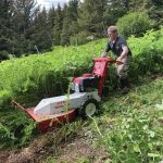Homer Cycling Club volunteer Jason Herreman mowing trails along the Homestead Trail. (Photo provided by Homer Trails Alliance)
