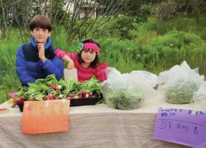 Photo provided by Carey Restino
Thea and Liam James.