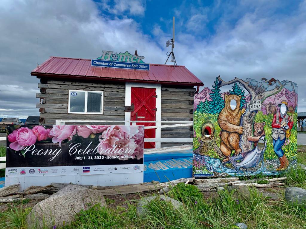 Homers annual Peony Celebration takes place all month long, hosted by farmers and businesses and marketed by the Homer Chamber of Commerce. Photo by Christina Whiting