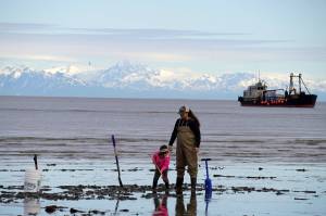 Jake Dye/Peninsula Clarion
A young girl digs in pursuit of razor clams under watchful eyes at the Ninilchik Beach in Ninilchik, Alaska, on Saturday, July 1, 2023.