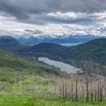 Photo by Jeff Helminiak/Peninsula Clarion
Skyline Trail, June 25, 2023.
