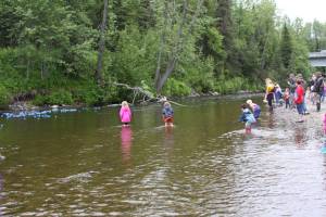 Community members watch ducks, run down the Anchor River during the Fourth of July Duck Race on Sunday, July 2, 2023 in Anchor Point, Alaska. (Delcenia Cosman/Homer News)