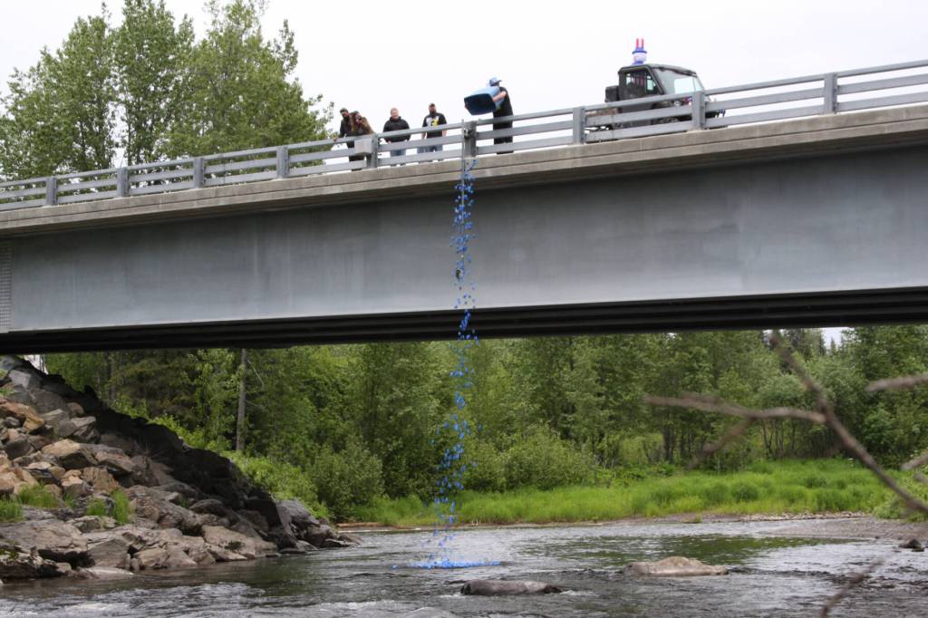 Anchor Point VFW Post 10221 Commander Charles Collins pours a tub of ducks into the Anchor River from the Anchor River Bridge on Sunday, July 2, 2023 in Anchor Point, Alaska. (Delcenia Cosman/Homer News)