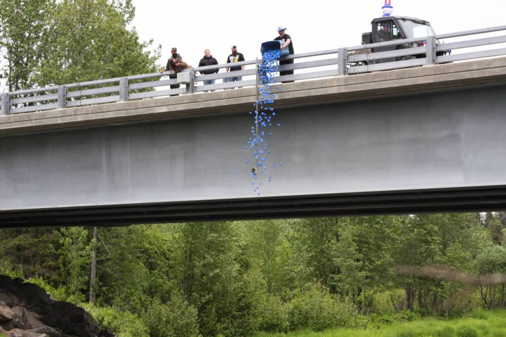 Anchor Point VFW Post 10221 Commander Charles Collins pours a tub of ducks into the Anchor River from the Anchor River Bridge on Sunday, July 2, 2023 in Anchor Point, Alaska. (Delcenia Cosman/Homer News)
