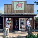A visitor takes in shops along a Homer Spit boardwalk on a sunny Wednesday, July 19, 2023 in Homer, Alaska. Photo by Christina Whiting