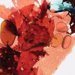 "Sunrise," a photo collage on metal of kelp and beachglass by Seldovia artist Jenifer Cameron is on display at Homer Council on the Arts through July. Photo courtesy Jenifer Cameron