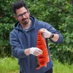 James Wardlow shows off a salmon filet ready to be hung and dried during a smoked salmon demonstration, part of Fish Week 2023, on Wednesday, July 19, 2023, at the Kenai National Wildlife Refuge Visitor Center in Soldotna, Alaska. (Jake Dye/Peninsula Clarion)