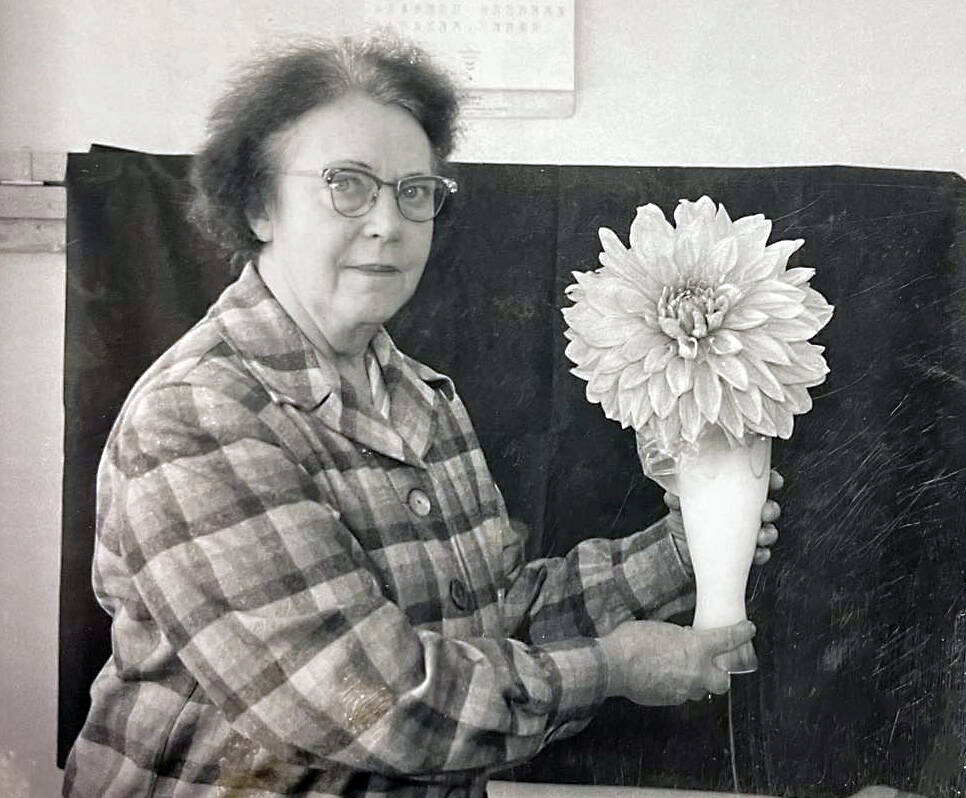 Mable Smith holds a large dahlia grown by her childhood friend Amanda Walker, wife of Kenais Pappy Walker, in October 1961. (Cheechako News photo)