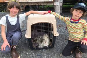 Tulsa and Pascal Cziko pose at the Kasitsna Bay Lab with a rescued harbor seal pup on Monday, July 24, 2023, in Seldovia, Alaska.(Photo provided by Paul Cziko)