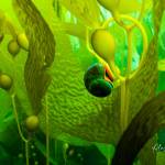 Kelp Creatures I, a photograph by Homer photographer Marcelle McDannel, is on display as part of her solo exhibit at Ptarmigan Arts through August in Homer, Alaska. Photo provided by Ptarmigan Arts