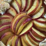 Fresh ripe peaches are wrapped in a buttery crust in this peach galette recipe. (Photo by Tressa Dale/Peninsula Clarion)