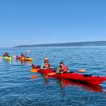 Kayakers enjoy a sunny day as they explore the entrance to Halibut Cove on Tuesday, Aug. 1, 2023 in the Kachemak Bay in Alaska. Photo by Christina Whiting