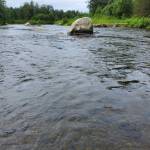 The Anchor River flows in the Anchor Point State Recreation Area on Saturday, Aug. 5, 2023 in Anchor Point, Alaska. (Delcenia Cosman/Homer News)